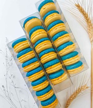 Sausainiai MAKARŪNAI (macarons) UKRAINAI dėžutėje S