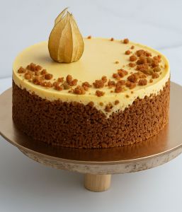 Sūrio pyragas (CHEESE CAKE) su mangais ir laimu